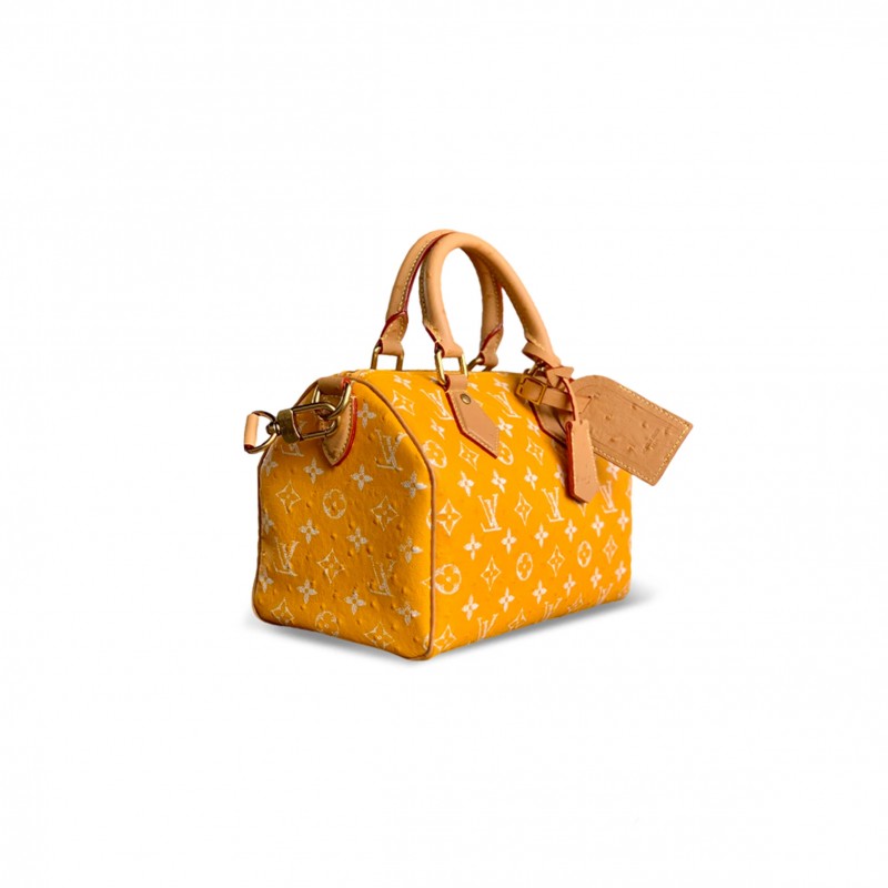 LOUIS VUITTON MASTER SPEEDY P9 BANDOULIÈRE 25 M24437 (25*15*15cm)