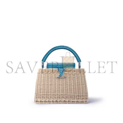 LOUIS VUITTON MASTER CAPUCINES BB N85480 (27*17*14cm) LOUIS VUITTON MASTER CAPUCINES BB N85480 (27*17*14cm)