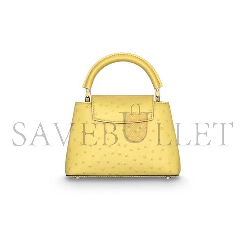 LOUIS VUITTON MASTER CAPUCINES MINI M95509 (21*14*8cm)
