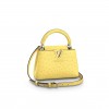 LOUIS VUITTON MASTER CAPUCINES MINI M95509 (21*14*8cm)
