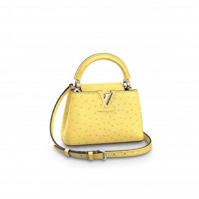 LOUIS VUITTON MASTER CAPUCINES MINI M95509 (21*14*8cm)