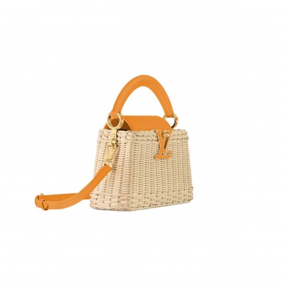 LOUIS VUITTON MASTER CAPUCINES MINI M24976 (21*14*8cm)