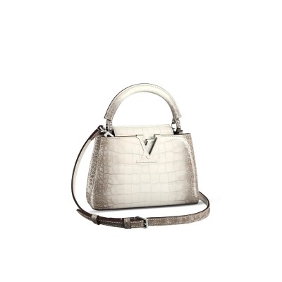 LOUIS VUITTON MASTER CAPUCINES BB N99290 (27*18*9cm)