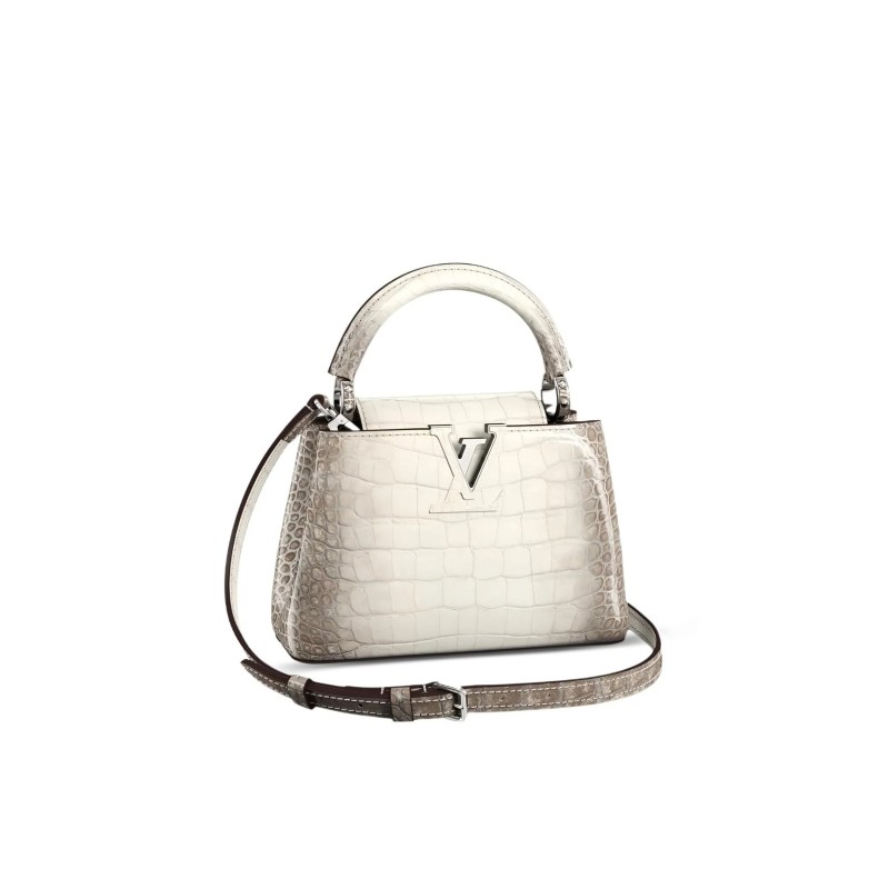 LOUIS VUITTON MASTER CAPUCINES BB N99290 (27*18*9cm)