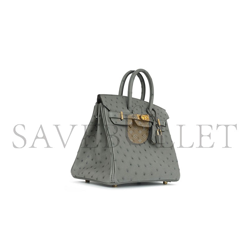HERMÈS MASTER OSTRICH BIRKIN 25 BIRKIN HANDBAG (25*20*13cm)
