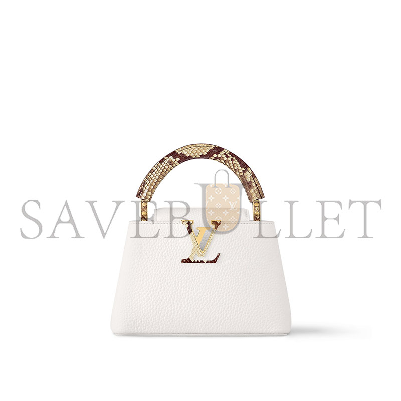 LOUIS VUITTON MASTER CAPUCINES MINI N85515 (21*13.6*8cm) 