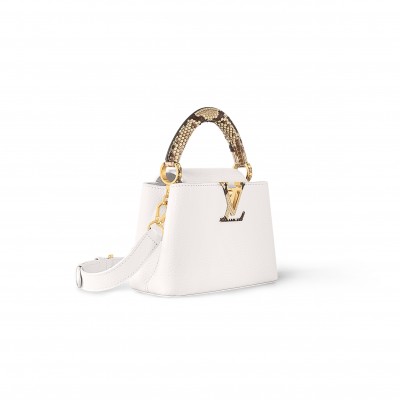 LOUIS VUITTON MASTER CAPUCINES MINI N85515 (21*13.6*8cm) 