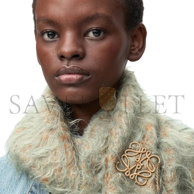 LOEWE ANAGRAM BROOCH J821245X20