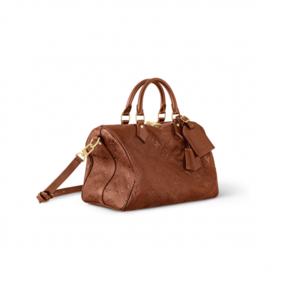 LOUIS VUITTON MASTER SPEEDY SOFT 30 M28662 (30*21*17cm)
