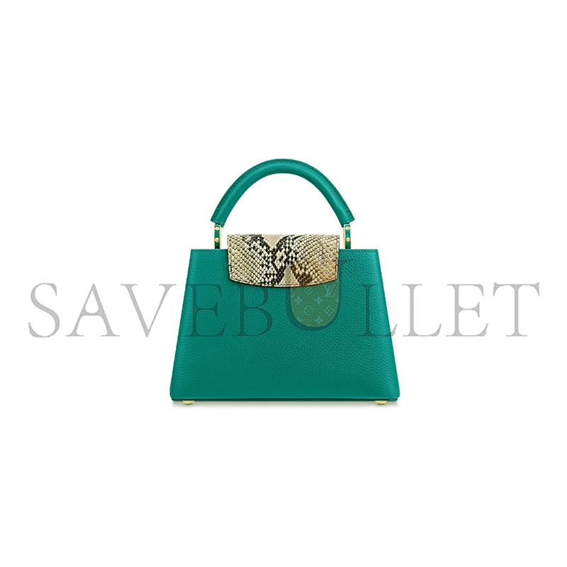 LOUIS VUITTON MASTER CAPUCINES BB N81408 (27*18*9cm)