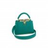 LOUIS VUITTON MASTER CAPUCINES BB N81408 (27*18*9cm)