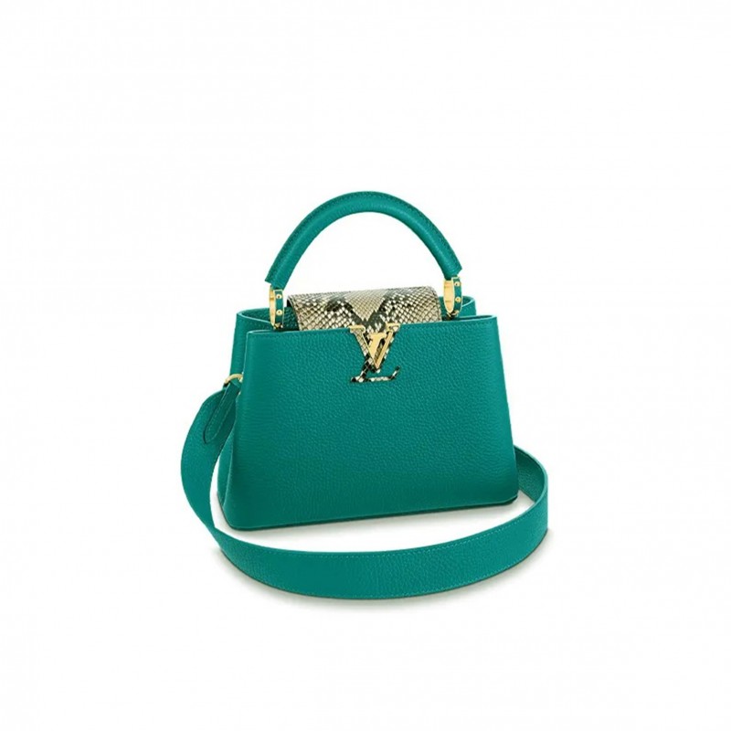 LOUIS VUITTON MASTER CAPUCINES BB N81408 (27*18*9cm)