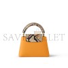 LOUIS VUITTON CAPUCINES MINI N81410 (21*14*6cm) 