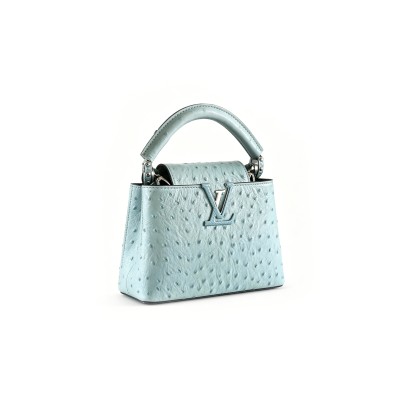 LOUIS VUITTON CAPUCINES MINI N85510 (21*14*8cm) LOUIS VUITTON CAPUCINES MINI N85510 (21*14*8cm)