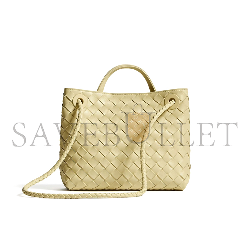 BOTTEGA VENETA SMALL ANDIAMO 743568 (25*22*10.5cm)