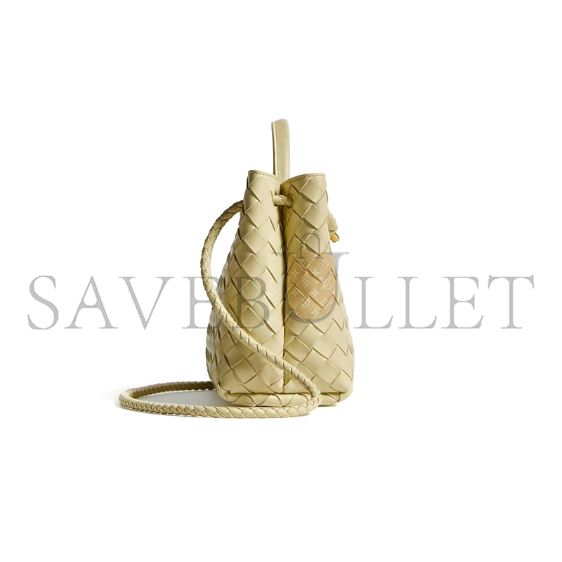 BOTTEGA VENETA SMALL ANDIAMO 743568 (25*22*10.5cm)