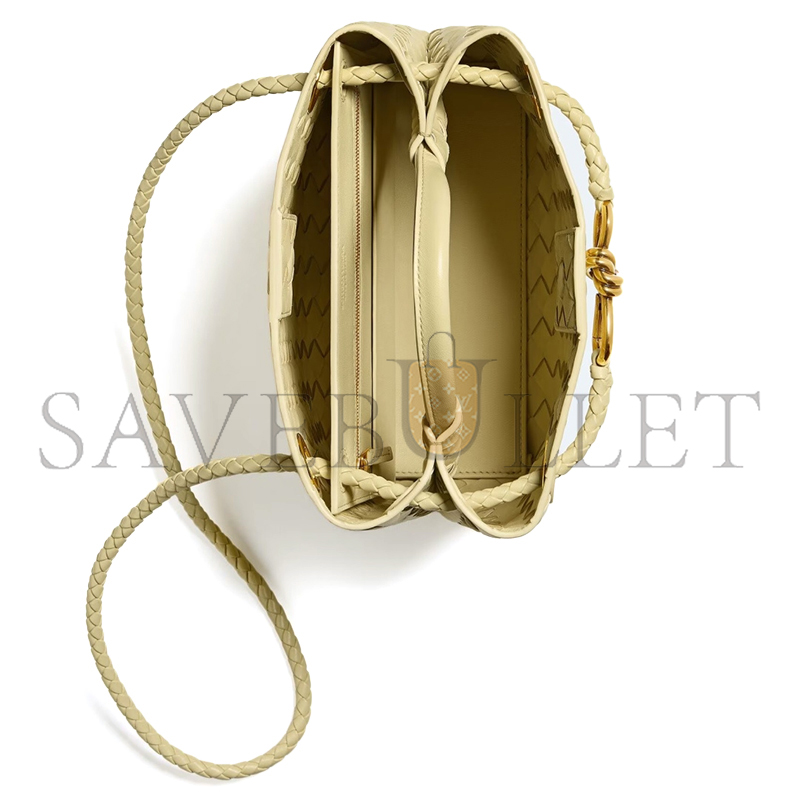 BOTTEGA VENETA SMALL ANDIAMO 743568 (25*22*10.5cm)