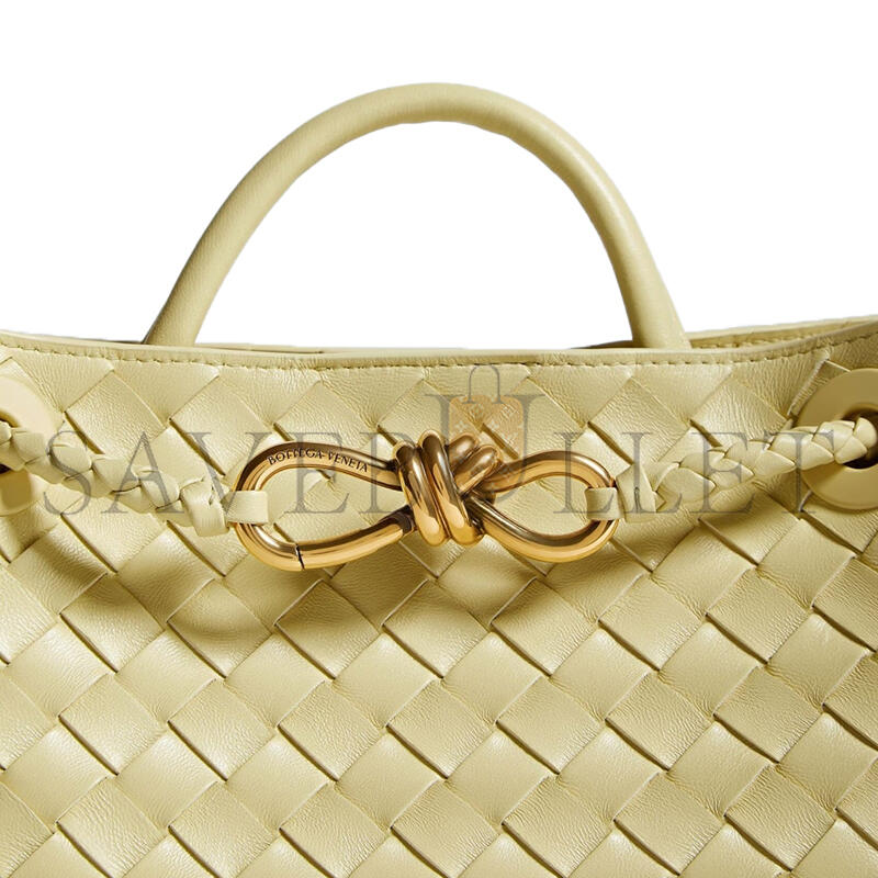 BOTTEGA VENETA SMALL ANDIAMO 743568 (25*22*10.5cm)
