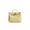 BOTTEGA VENETA SMALL ANDIAMO 743568 (25*22*10.5cm)