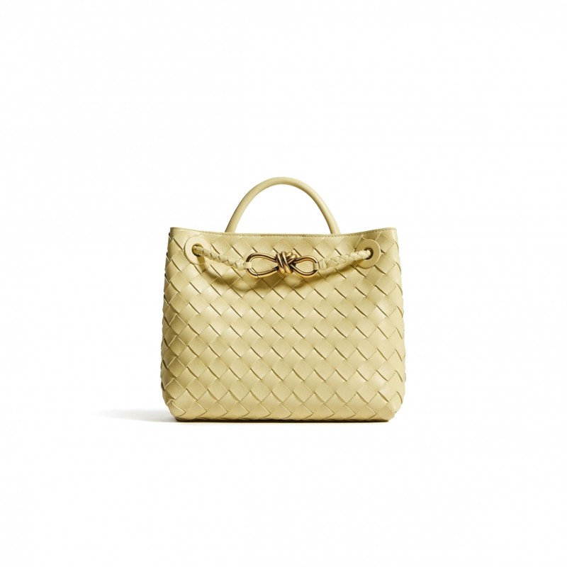 BOTTEGA VENETA SMALL ANDIAMO 743568 (25*22*10.5cm)