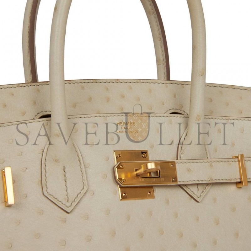 HERMES MASTER BIRKIN 30 OSTRICH PALLADIUM HARDWARE (30*22*16cm)